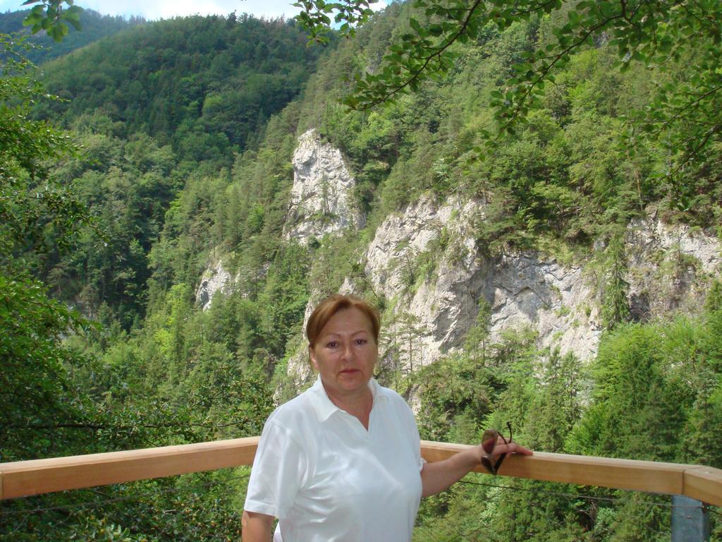 Drevenica Michael Villa Tarnóc Kültér fotó